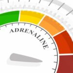 Adrenaline Adrenaline